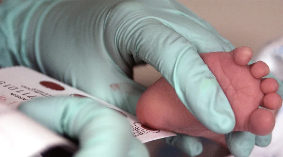 Coleta de sangue do calcanhar do recém-nascido em cartão de papel-filtro